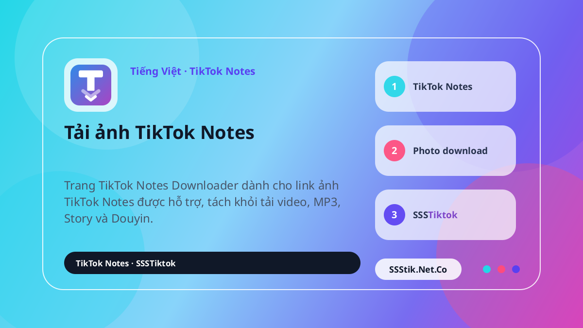 TikTok Notes Downloader là gì? - SSSTikTok