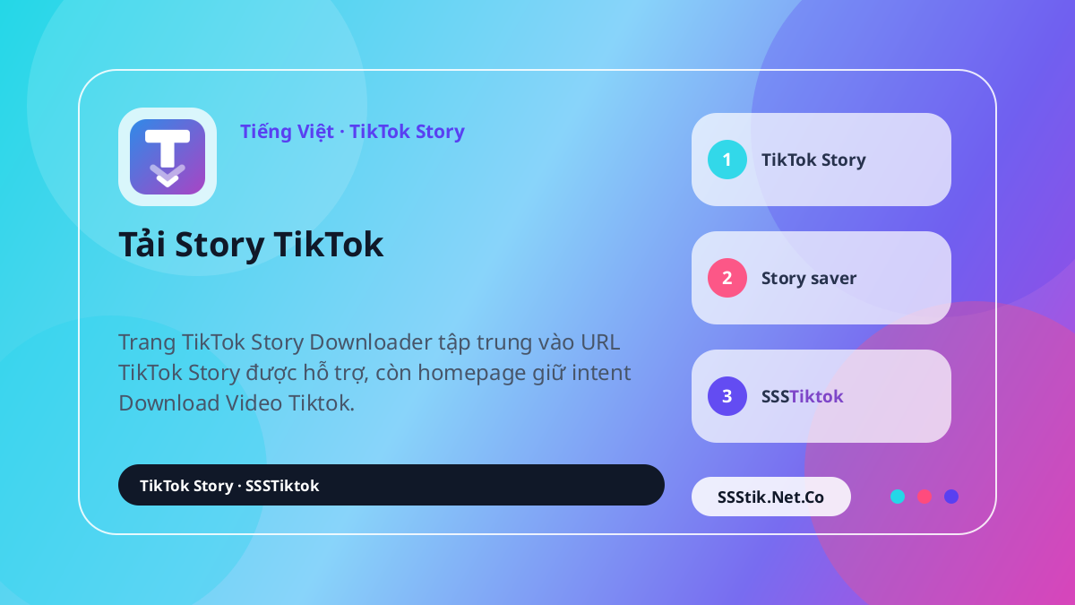 TikTok Story Downloader là gì? - SSSTikTok